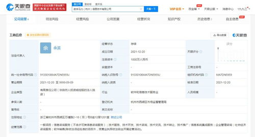 信息系统集成服务的全面解析